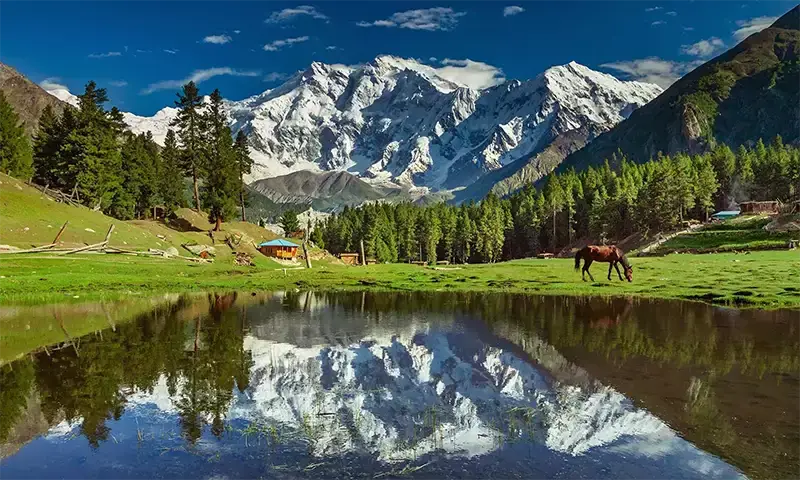 Fairy Meadows Hunza Tour