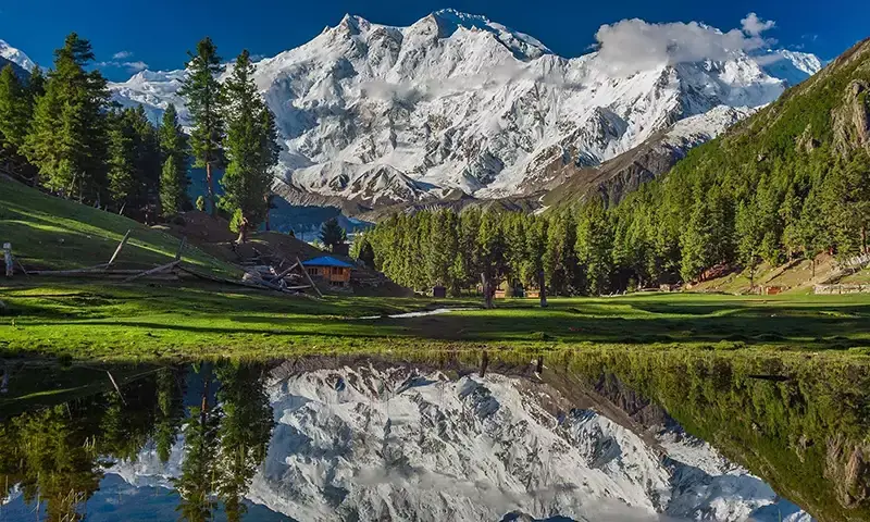 Fairy Meadows