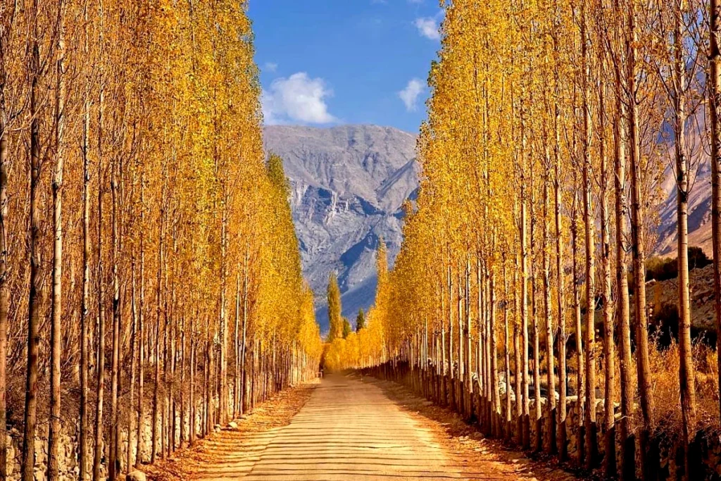 Khaplu Autumn copy