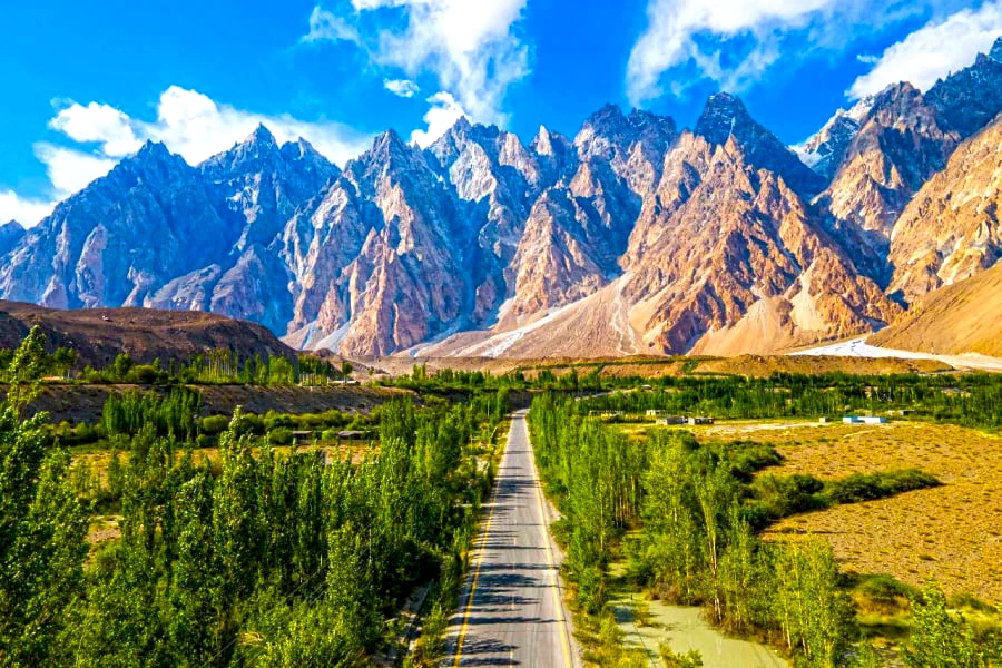 Passu Cones Copy