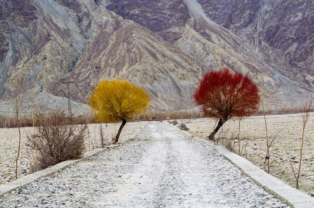 TwinTrees Fairy Meadows Skardu Khaplu Tour