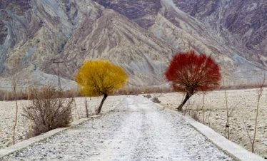 TwinTrees Fairy Meadows Skardu Khaplu Tour