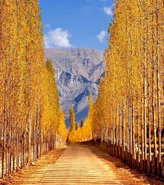 Khaplu-Autumn copy