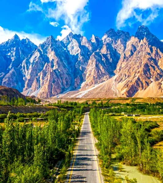 Passu-Cones-Copy